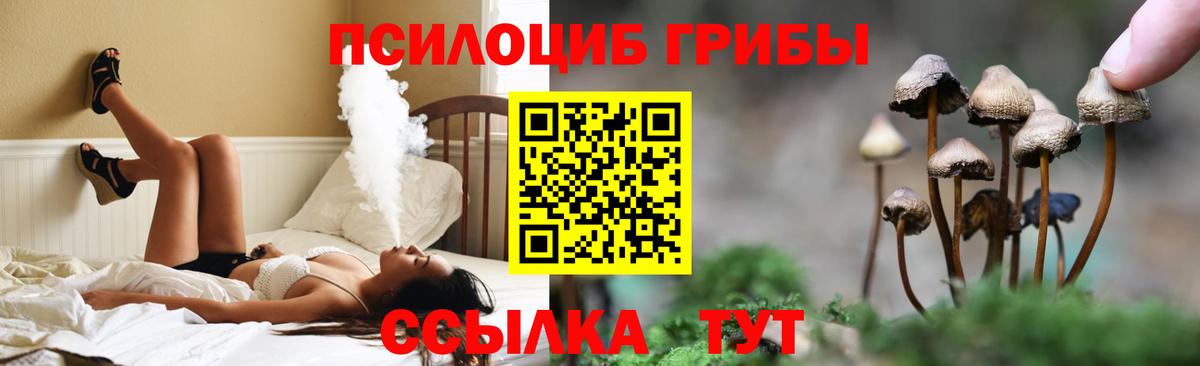 Галлюциногенные грибы GOLDEN TEACHER Барабинск